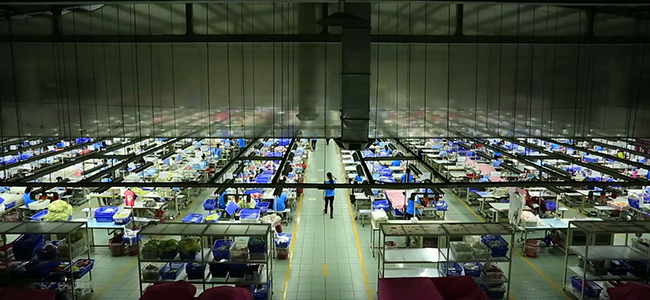 GROUP MF - Supply Chains